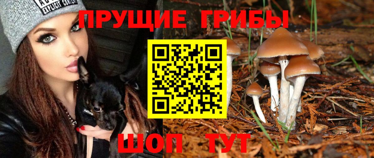 Псилоцибиновые грибы Magic Shrooms  Вход с VPN  Галлюциногенные грибы Magic Shrooms  Троицк 